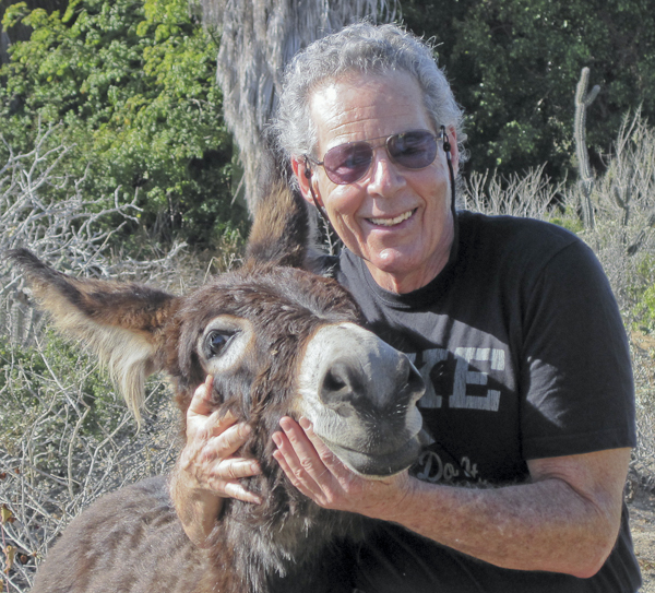 dr-robert-saltzman.jpg dr-robert-saltzman.jpg